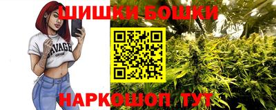 mdpv Новодвинск