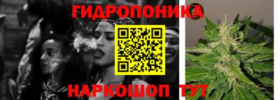 эйфоретик Новозыбков