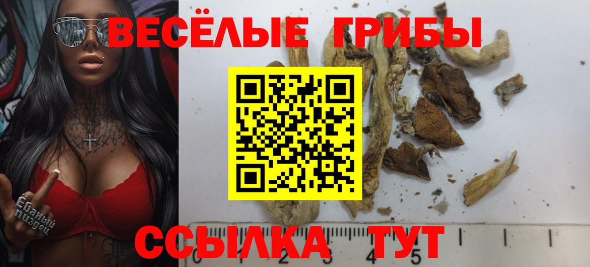 Серпухов  Галлюциногенные грибы прущие грибы  Вход с VPN  Псилоцибиновые грибы ЛСД 